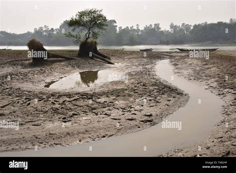 Damodar Hi Res Stock Photography And Images Alamy