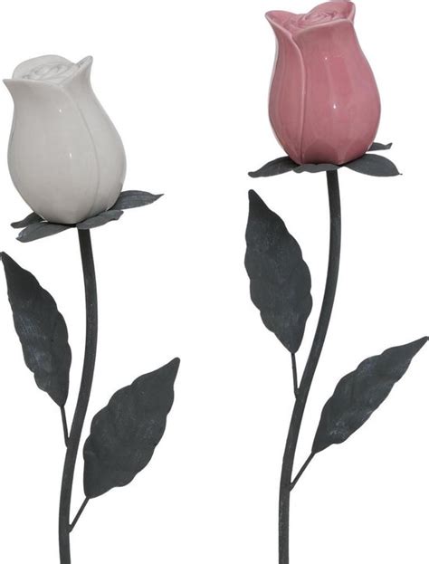 Tuinsteker Bloem Tulp Tulpen Set Van Stuks Bol