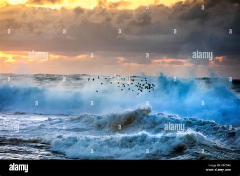 Hawaii Oahu North Shore Big Swell Rolling In At Sunset At Pupukea