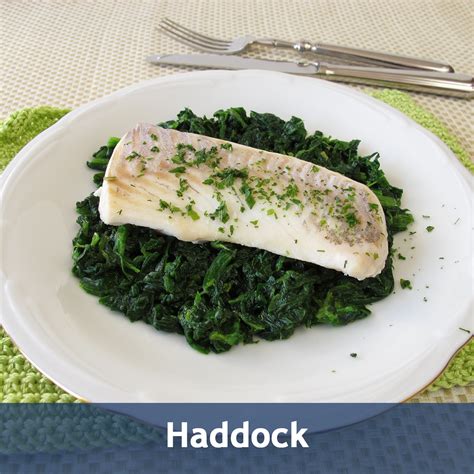 Haddock - The Fishin' Co.