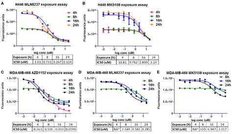 Frontiers Phenotypic Screening Approaches To Develop Aurora Kinase