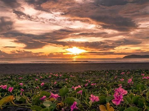 bagasbas beach philippinespics