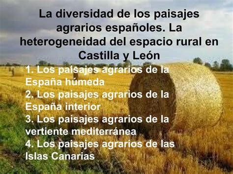 Tema La Diversidad Paisajes Agrarios Espa Oles Ppt