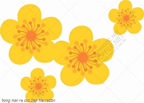 bong mai ve cuc dep file vector