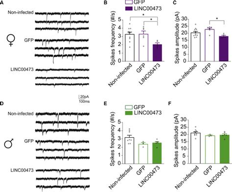 Sex Specific Role For The Long Non Coding Rna Linc00473 In Depression