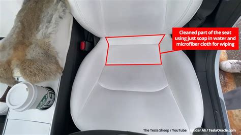 Heres How To Clean Jeans Stains From White Seats Of Your Tesla Model S