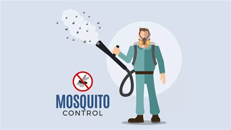 Mastering Mosquito Control Tips And Tricks