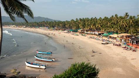 A Nature Lover S Guide To Goa S Beaches Estrela Hotels Travel Blog