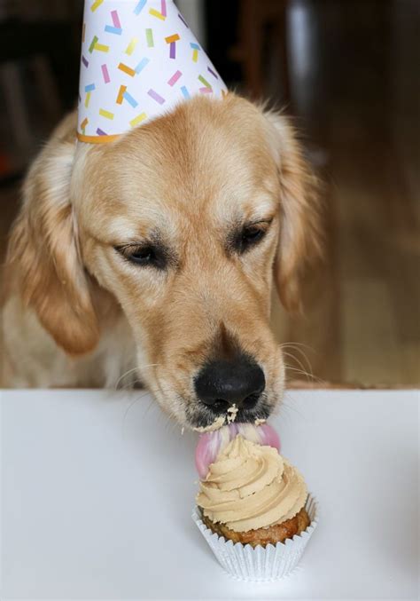 Pin On Dog Cake Recipe Peanut Butter