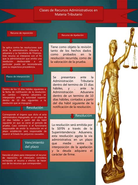 Infografia clases de recursos administrativos | PPTX