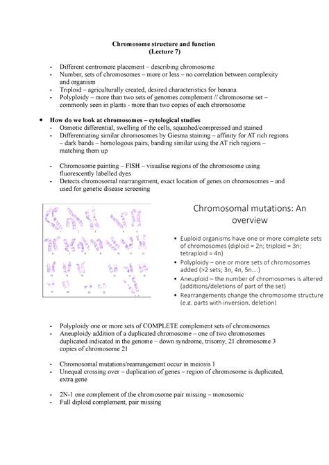 Chromosome structure and function (L7) - Chromosome structure and ...