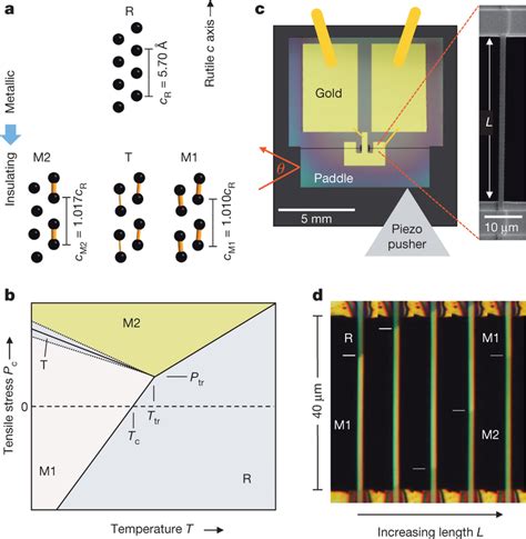 Control Of The Metalinsulator Transition In Vo2 Using Uniaxial Stress Download Scientific