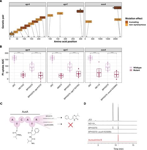 A High Throughput Cytotoxicity Screening Platform Reveals Agr