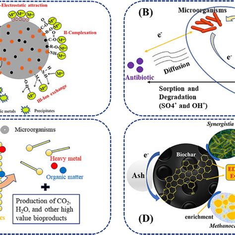 schematic illustration   mechanisms  bit employed  heavy