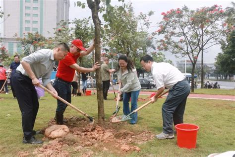 根在侨乡、绿美广东！江门市举行华侨华人和市民共植文明林活动广东省华侨华人植树新浪新闻