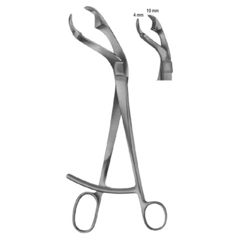 Verbrugge Bone Holding Forceps Surgi Equipment