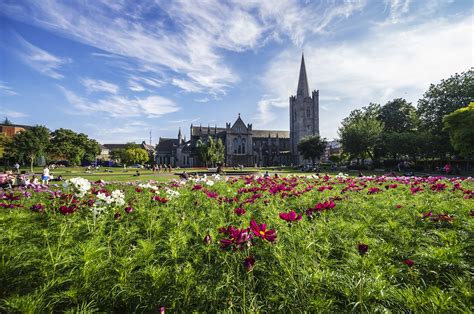 The Best Parks In Dublin Lonely Planet