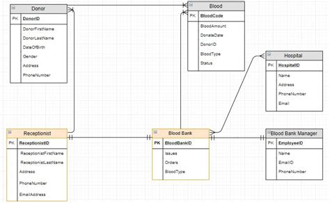 Er Diagram For Blood Bank Database Project Diagram Entity