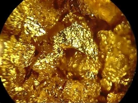 Gold Flakes Under Stereo Microscope X X Youtube