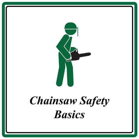 Chainsaw Safety Basics Course Materials For Safety Trainers