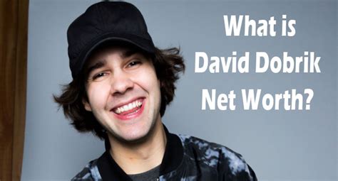 David Dobrik Net Worth 2024 Age Height Girlfriend Social Blade Wiki