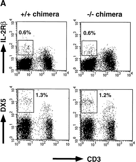 Nk Cell Population And Cytolytic Activity Of C Ebp And C Ebp