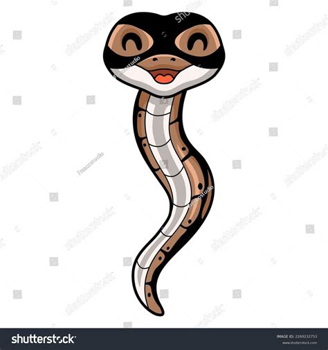 cute ball python snake cartoon stock vector royalty