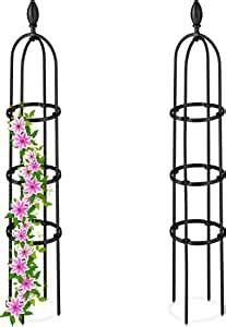 Relaxdays Plantensteun Klimplanten Set Van 2 100 X 20 Cm Metaal