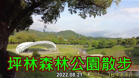 坪林森林公園散步 4k Youtube