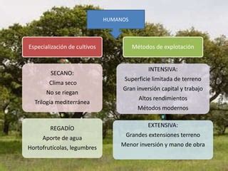 Tema Los Dominios Y Paisajes Agrarios Ppt