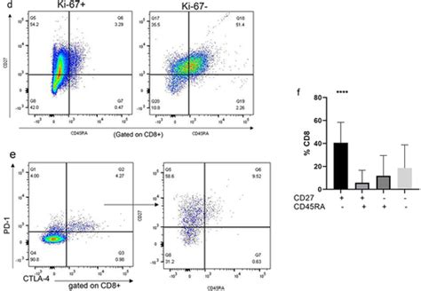 Full Article T Cell Invigoration Is Associated With The Clinical