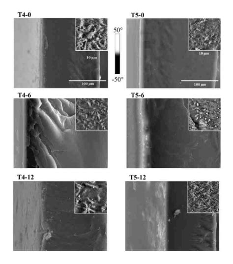 Sem Micrographs Of Surface Reliefs Lighter Left Part Together With