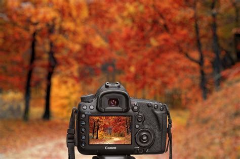 Camera Autumn Photography - Free photo on Pixabay - Pixabay