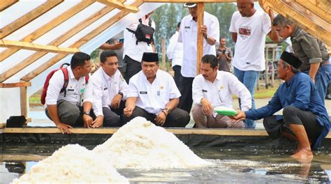 InfoPublik Simeulue Kembangan Potensi Garam Untuk Tingkatkan Ekonomi