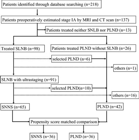 Clinical Outcomes Of Sentinel Node Navigation Surgery In Patients With