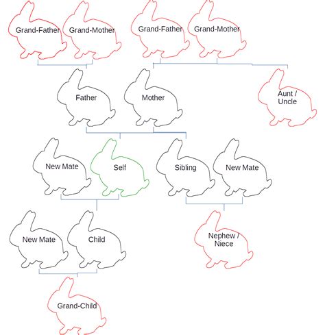 Rabbit Breeding System | McGreen Acres