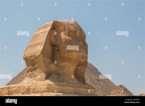 Meraviglia Della Sfinge Egiziana Immagini E Fotografie Stock Ad Alta