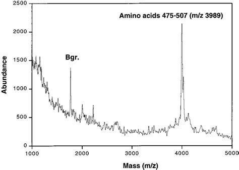 Maldi Tof Mass Spectrum Of Peptide 475 507 That Remained Affinity Bound