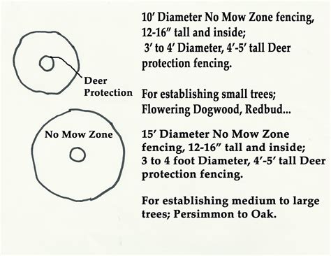 maximizing tree growthhealth  root zone management indigenous