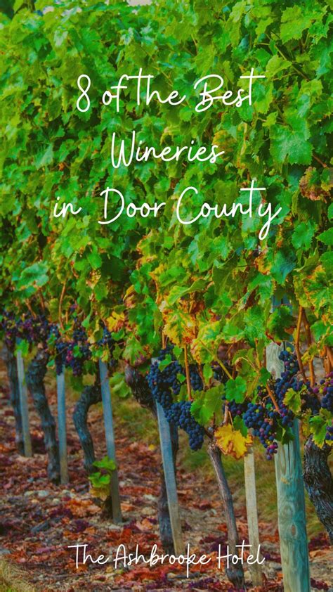 Exploring Door County Wineries And Breweries In 2023 – Ash in The Wild