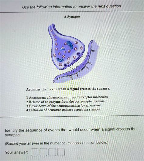 SOLVED 1 Attachment Of Neurotransmitters To Receptor Molecules 2