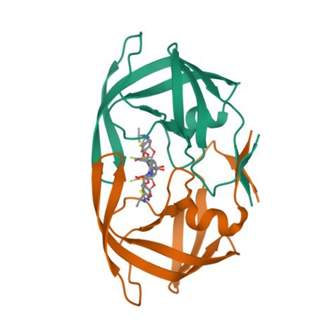 Rcsb Pdb Uwb X Ray Crystal Structure Of Wild Type Hiv Protease In