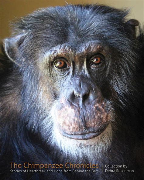 The Chimpanzee Chronicles:Stories of Heartbreak & Hope From Behind the Bars