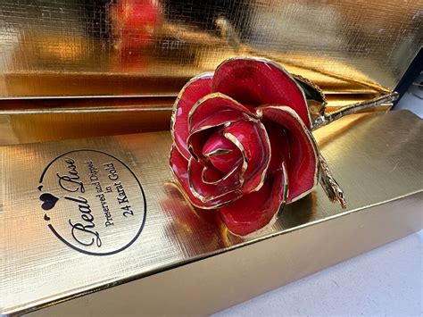 Real Rose Preserved and Dipped in 24k Gold Choice of Blue - Etsy