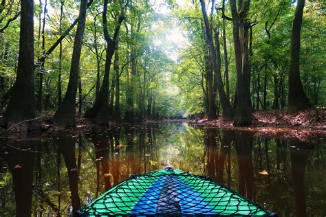 58 best Congaree National Park images on Pholder | National Park ...