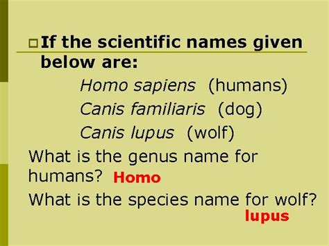 I Levels Of Classification Biologist Classify Organisms Based