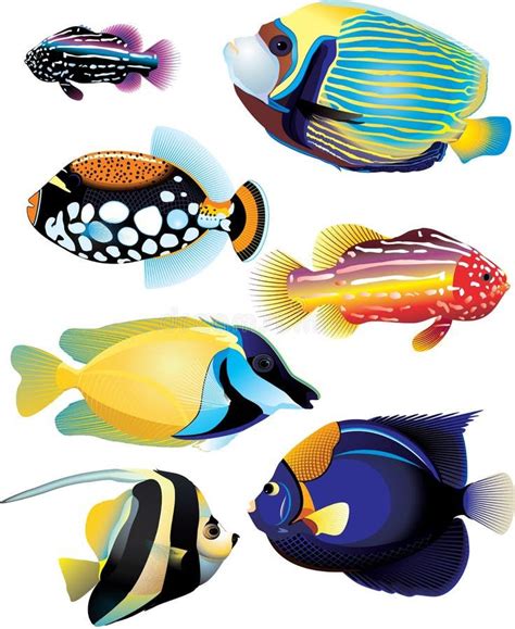 Illustration about Seven bright beautiful tropical fishes. Illustration ...