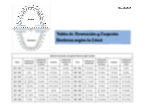 Solution Tabla De Erupci N Dental Con Edades Studypool