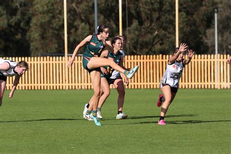 Preview 2024 Ctlg Round 6 Saturday Aussie Rules Rookie Me Central