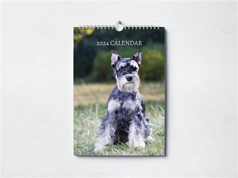 Miniature Schnauzer Calendar Monthly Wall Calendar A Hanging